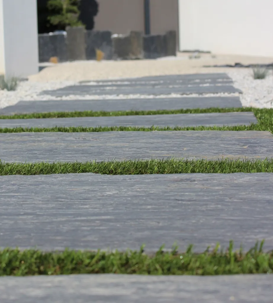 18 - Schiste _ Real 5.webp