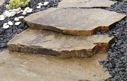 [PGN201] Pas d'éléphant gneiss ép.10 à 16 à la pièce