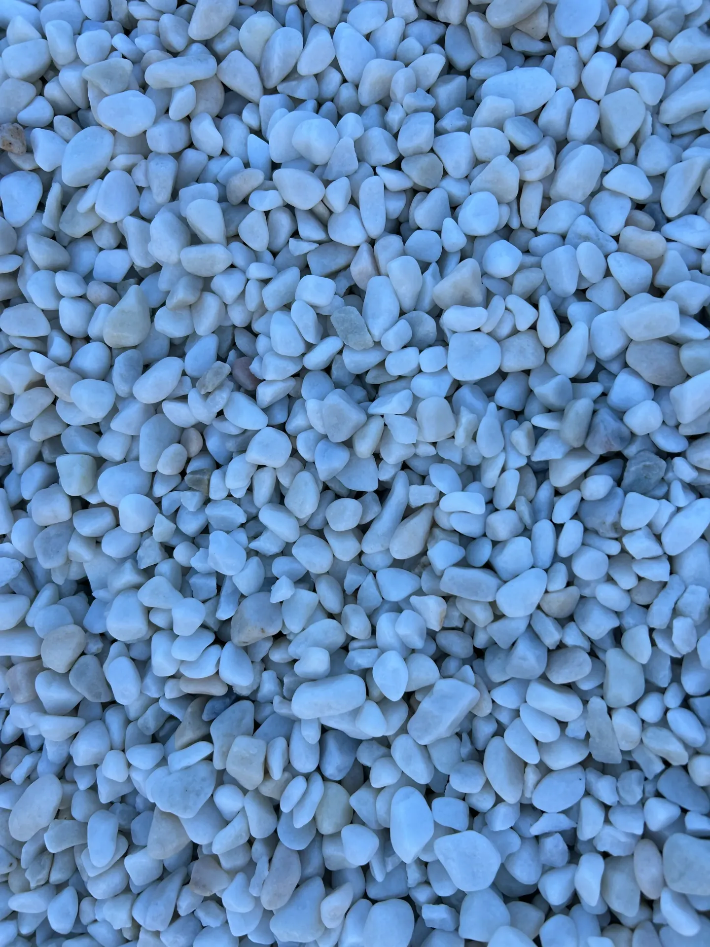 Galet MARBRE blanc pur roulé 8/12