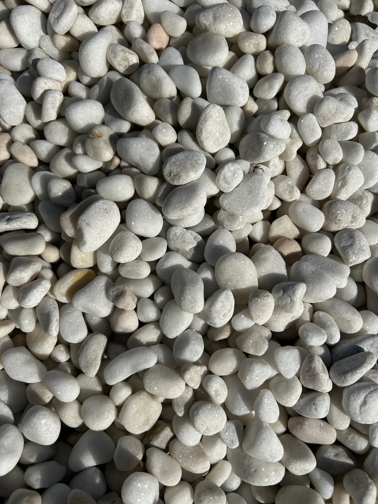 Galet MARBRE blanc pur roulé 12/24