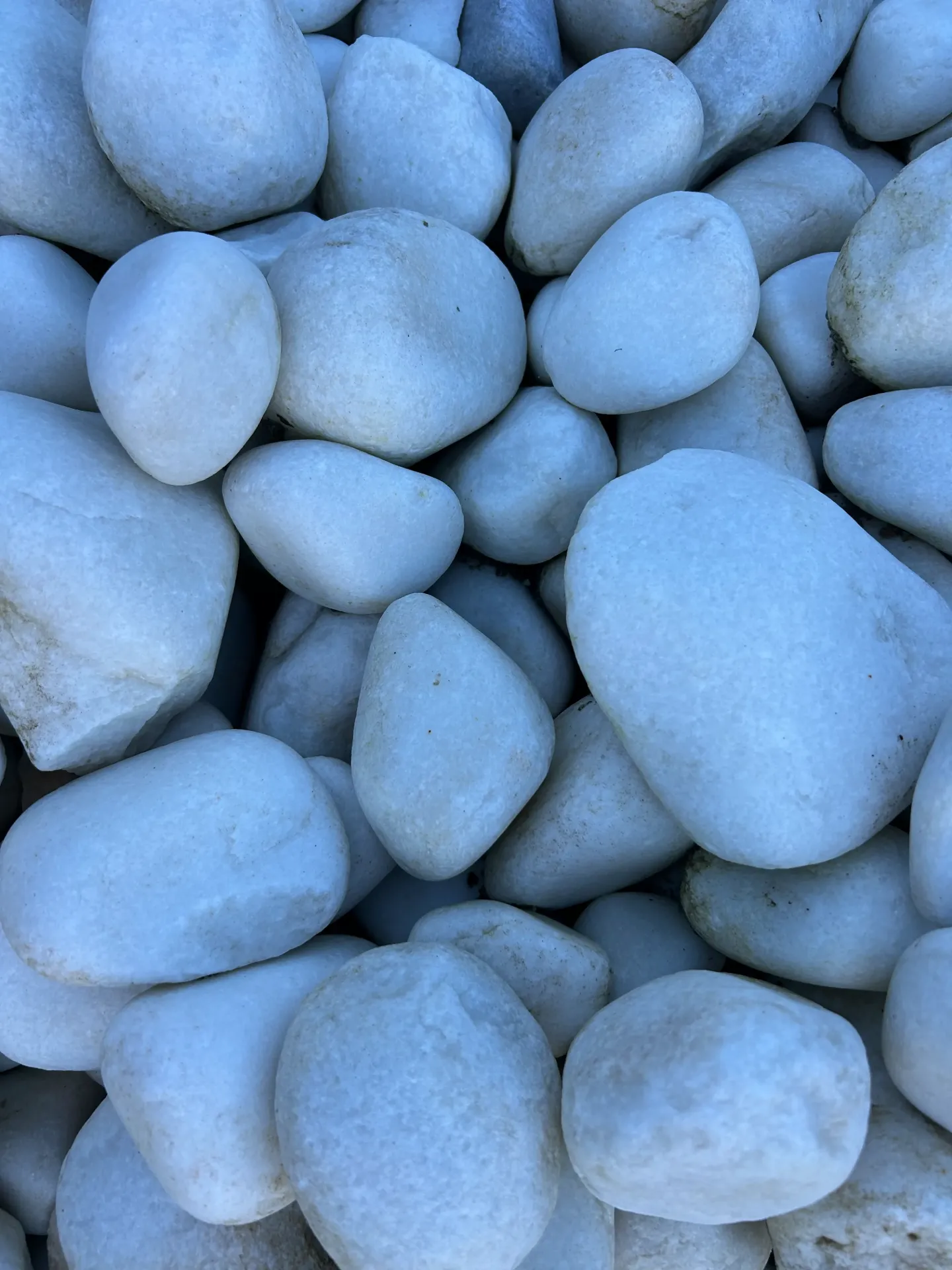 Galet MARBRE blanc pur roulé 60/110