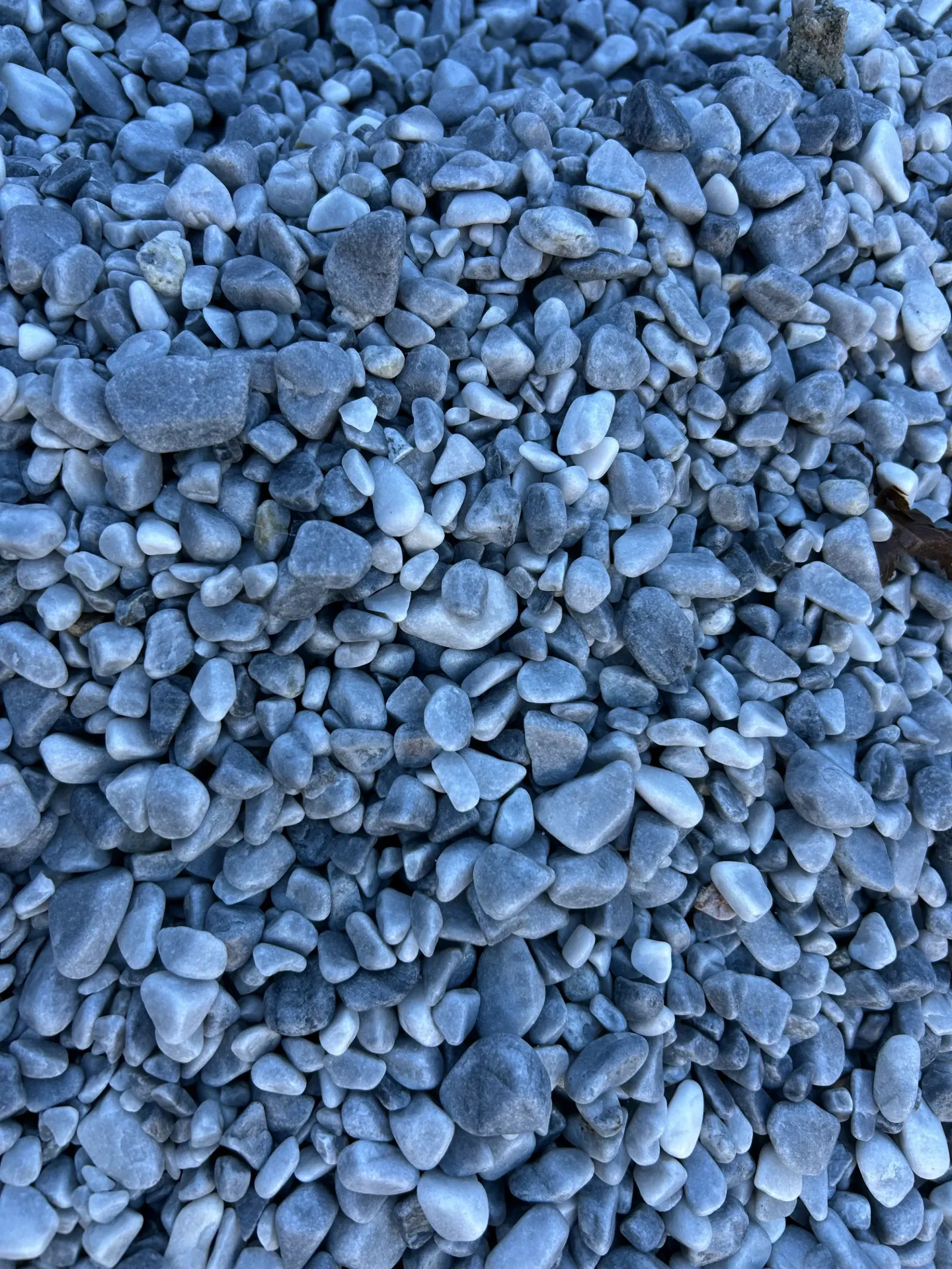 Galet MARBRE gris bleu roulé 8/12