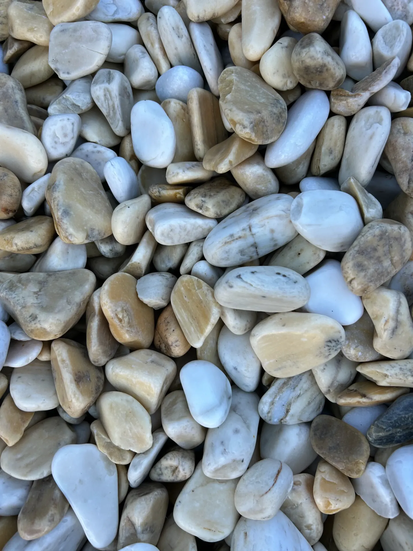 Galet MARBRE jaune Limon roulé 24/40