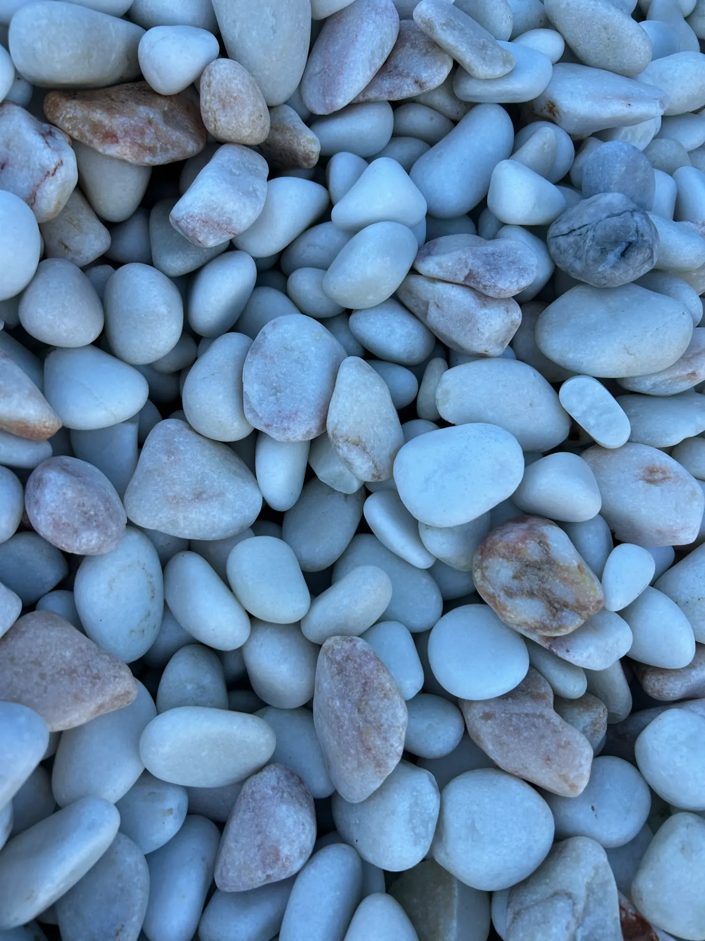 Galet MARBRE blanc rose roulé 24/40